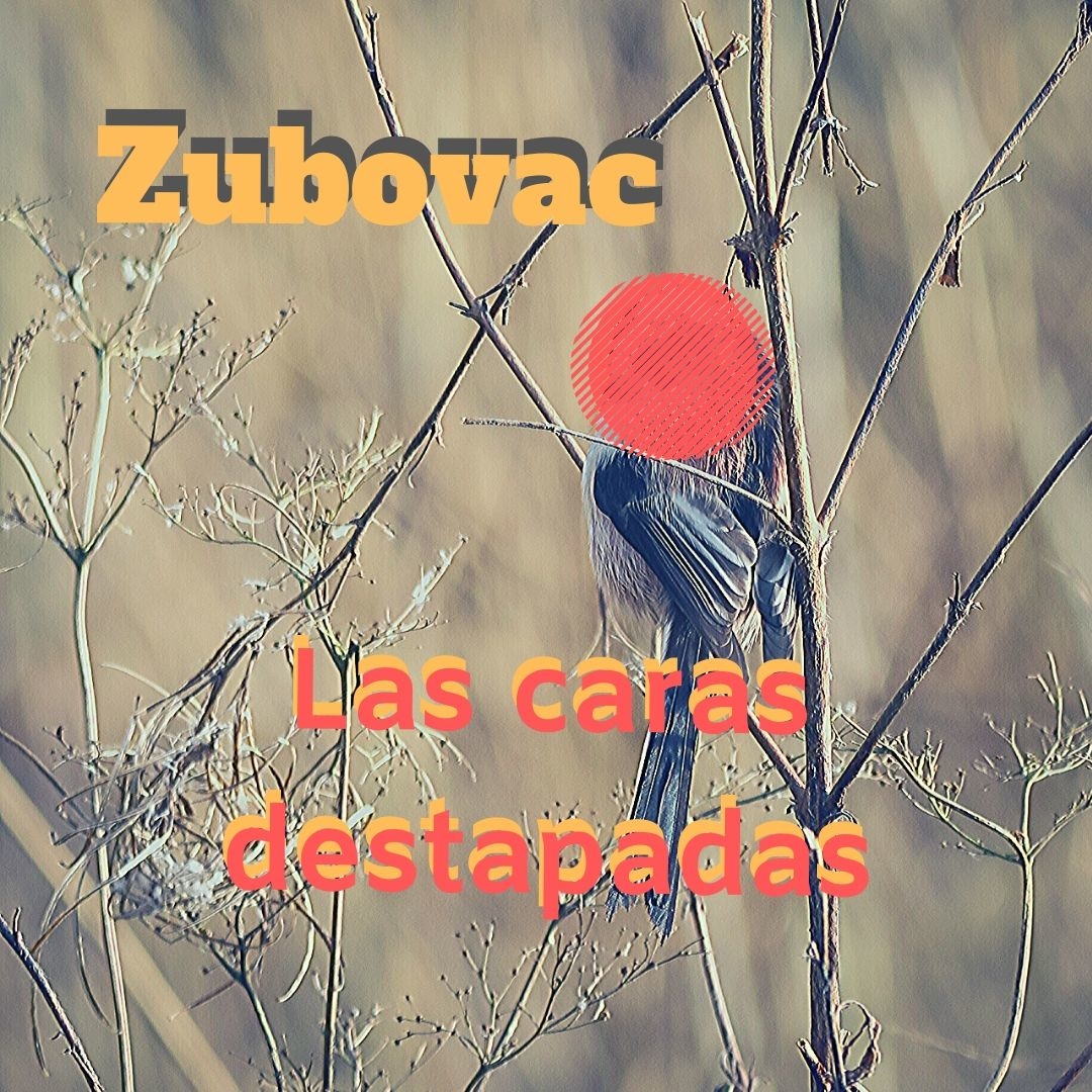 Create an Album Game.jpg