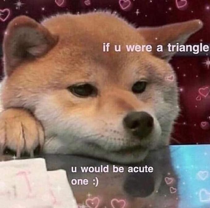 cutie.jpg