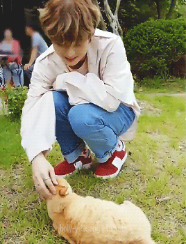 cuties.gif