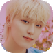 d (3).png