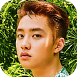 d.o2.png