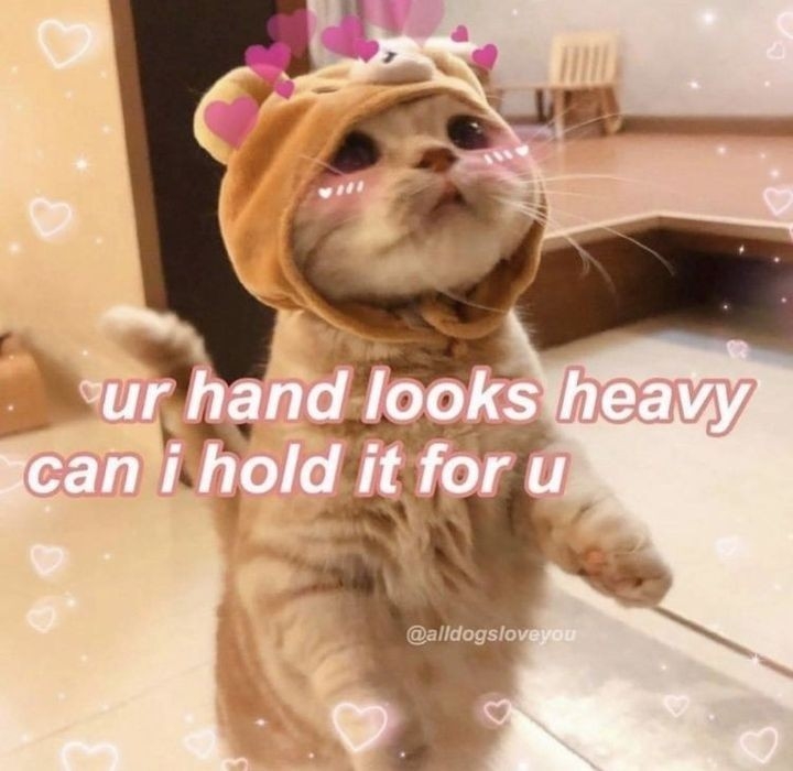 d186ab05796f0aac9f141d2128a1d7ef.jpg