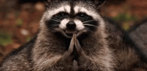 D217053C-5C7B-4743-84B0-F4A6F6ECAE38.gif