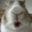 D57C623F-AA80-4B4C-B64C-47C9103E5400.gif
