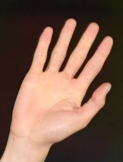 D5ZkzvhW0AEuwM7.jpg