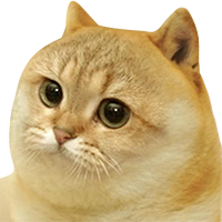 D7C632B7-4C53-4EC4-8347-A4318A429523.png