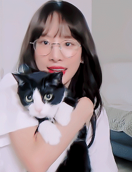 D969A9A3-F36F-456E-BFFB-2C0D94A99415.gif