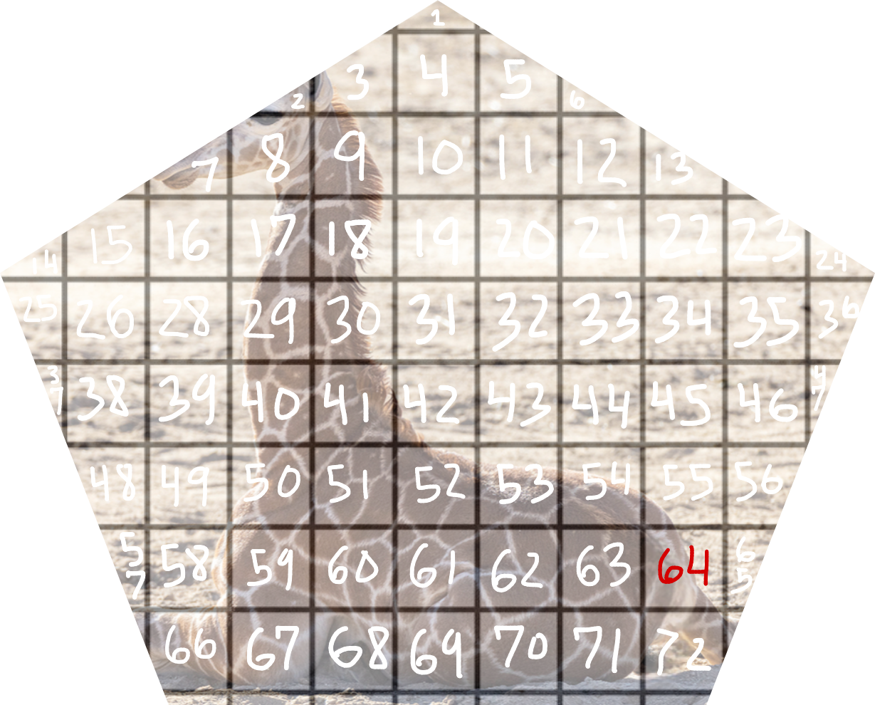 D9ED449B-4D66-432D-B862-9D7FE5EEA87A.png