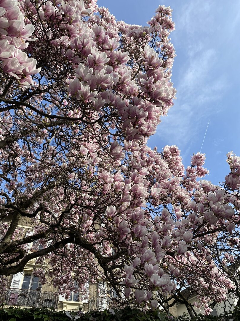 DC109953-B1F9-4FE2-A225-7AF19852454B.jpeg