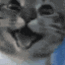 DEF3FDDC-32B5-4F8E-A64A-105B280EB34E.gif
