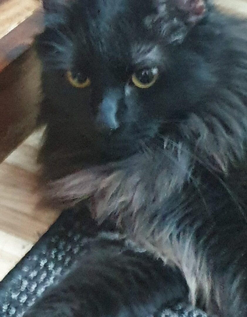 DF8ACE99-CA48-443B-B68A-9A2019FD71BC.jpeg