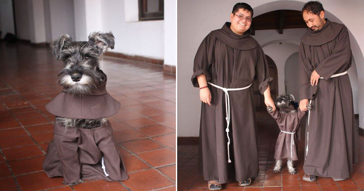 dog-monks.jpg