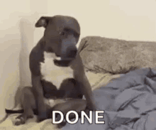 dog-sleepy.gif
