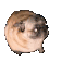 dogFlex.gif