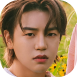 Donghun11.png