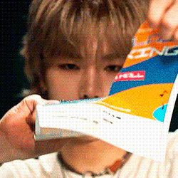 dp.gif