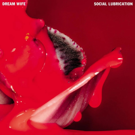 Dream_Wife_-_Social_Lubrication.jpg