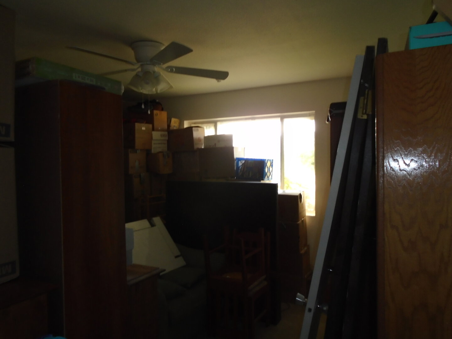 DSC00842.JPG