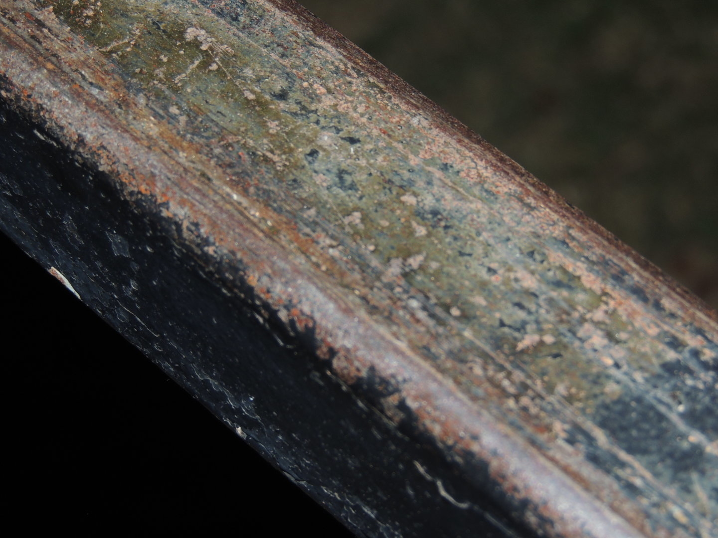 DSCN8729.JPG