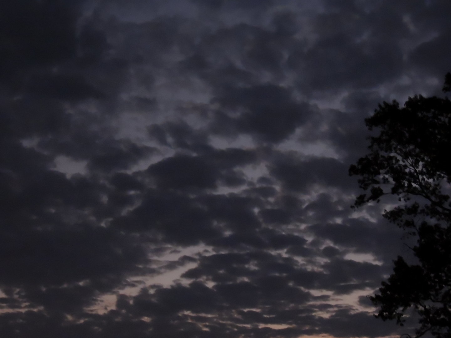 DSCN8763.JPG