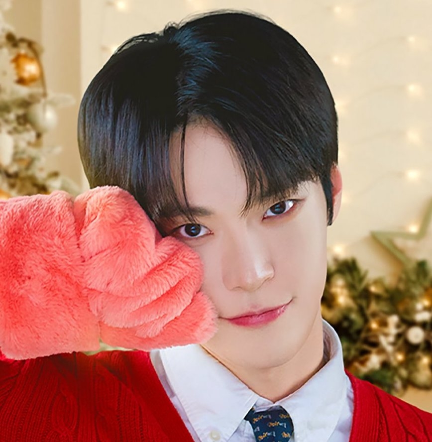 dupli christmas.jpeg