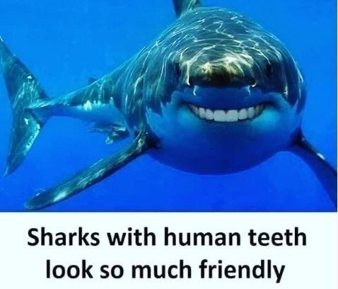 E1DDA4FE-942E-4563-A939-32B42CA56133.jpeg