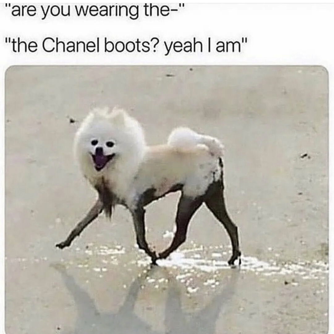 E343E35F-5A2E-4864-BDAE-206E31BE222B.jpeg