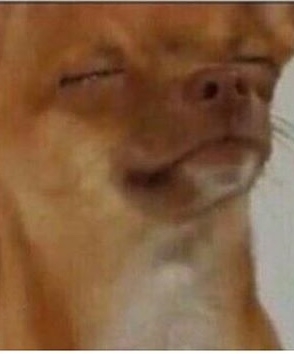 10173