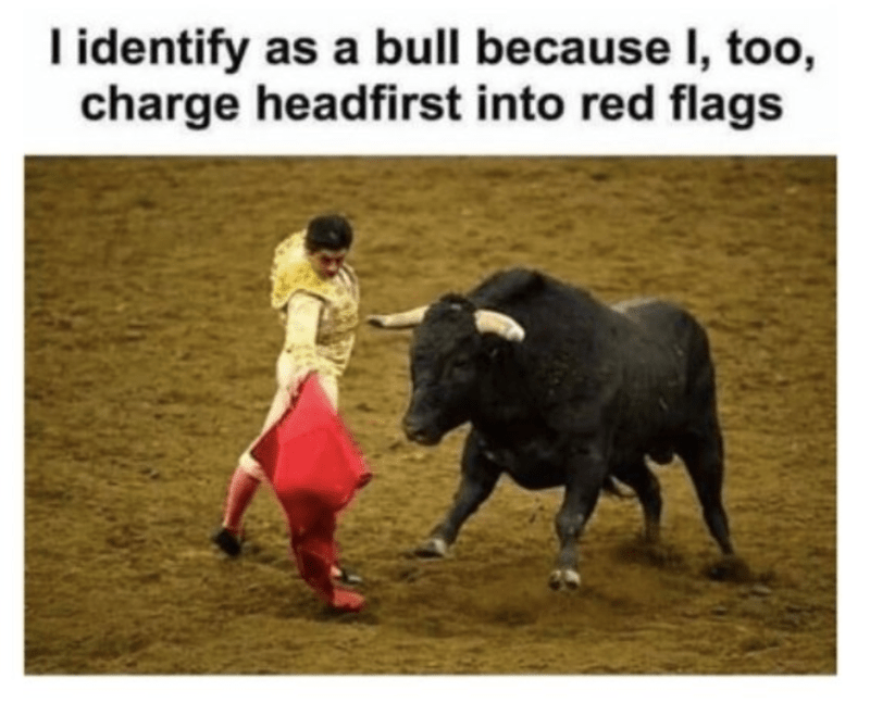 E6FD2179-E43A-43F5-8E0A-AEAC42C85264.png
