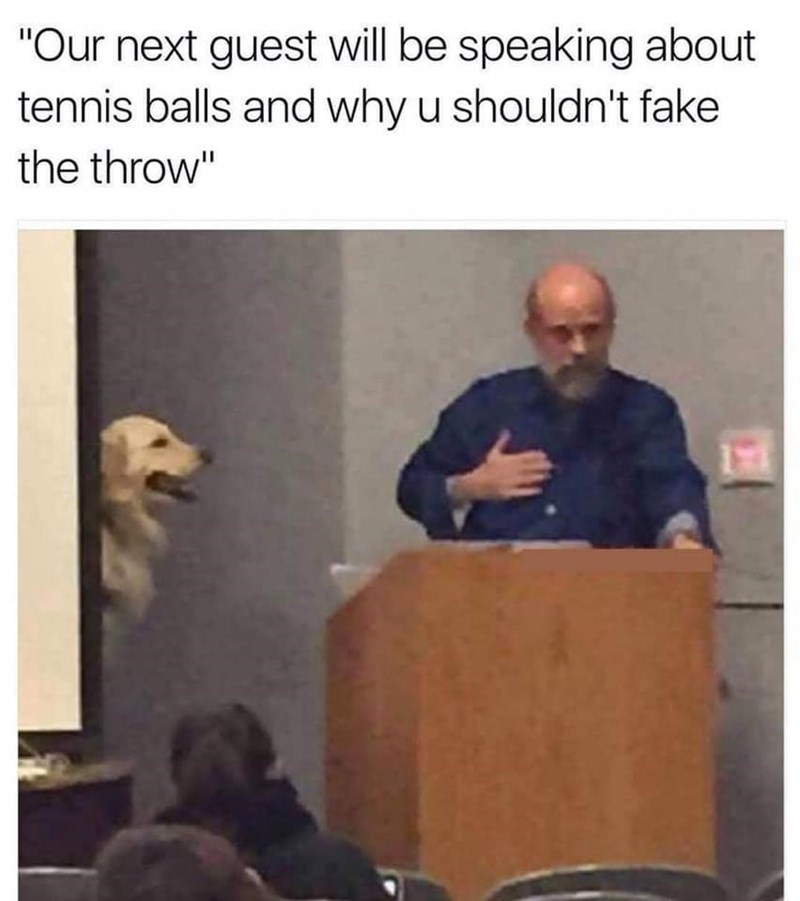 EAFF3BBE-1346-41D1-B35C-02D0442941D9.jpeg