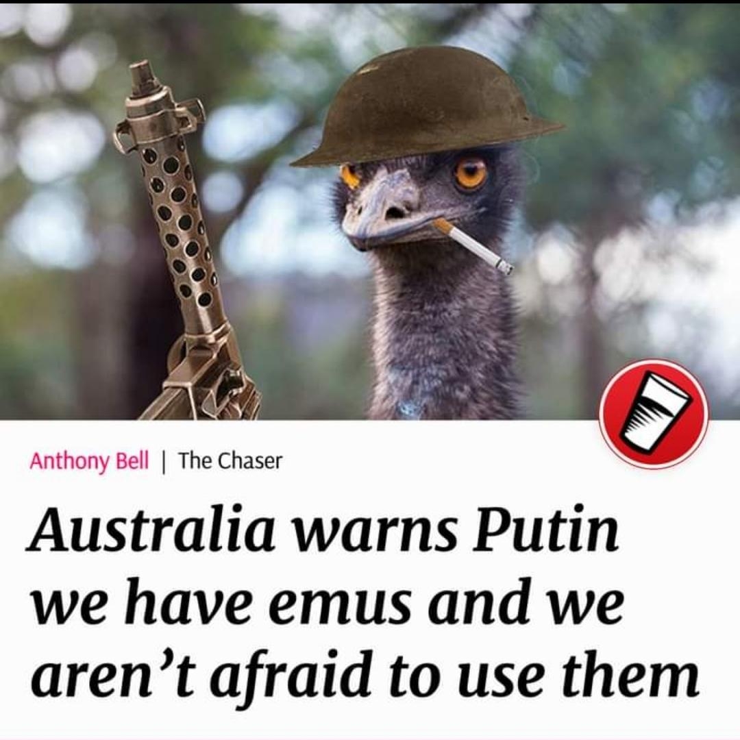 eb0.jpg