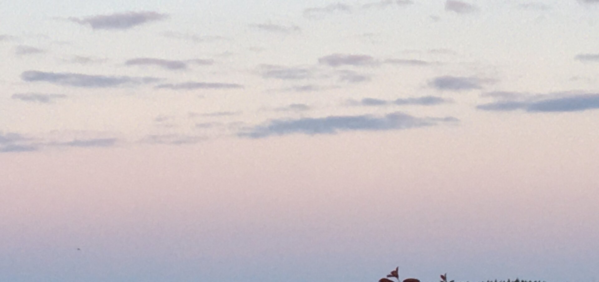 EB5DC5AE-351D-4B94-914F-AC23B33C2564.jpeg