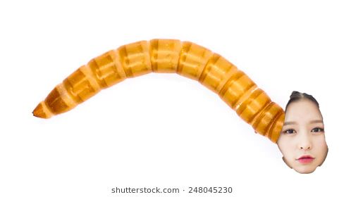 elk worm.jpg