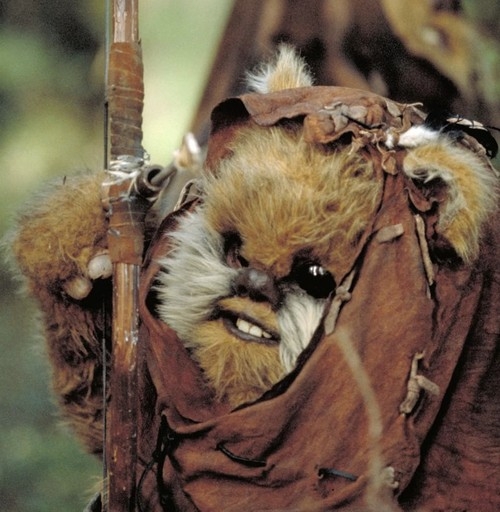 EwokHangGlider.jpg