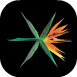 EXO2.png