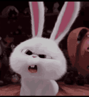 ezgif-1-a296b7e6fa.gif