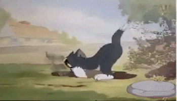 ezgif-2566db4ff6b4820e.gif