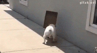 ezgif-4-f1221971f1.gif