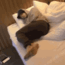 ezgif-5-71b76c170e.gif