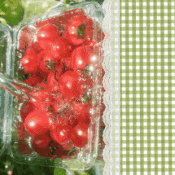 ezgif.com-resize (1).gif