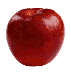 ezgif.com-resize.gif