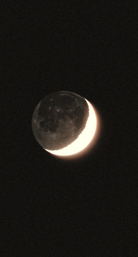 F08B55D3-5A42-4B1B-AA96-50C538E1E855.png