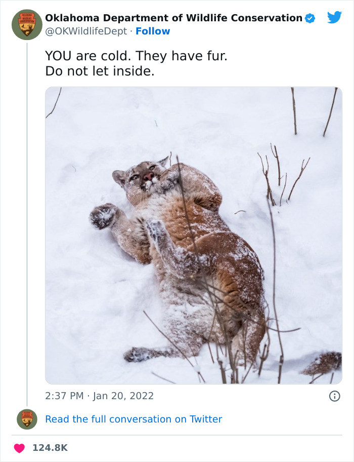 F0C2AFCD-0392-47AB-A677-BDBF97C4CDBF.png