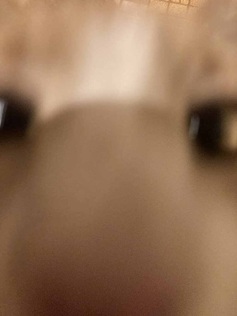 F1BC7065-C4E3-48AE-96C6-2A7924B82568.jpeg