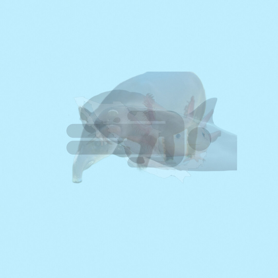 F4757E82-9CE0-4C6F-996C-097D7AA00229.jpeg