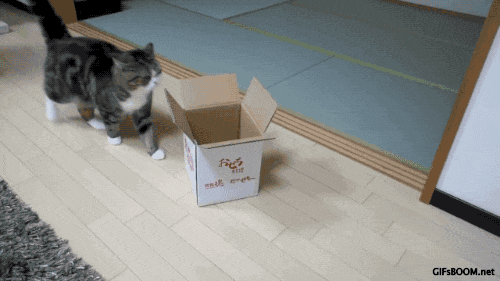 F77A7370-F17E-4B57-B2B3-FB6508E678EF.gif