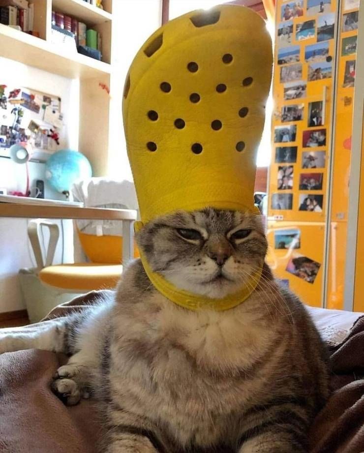 12827