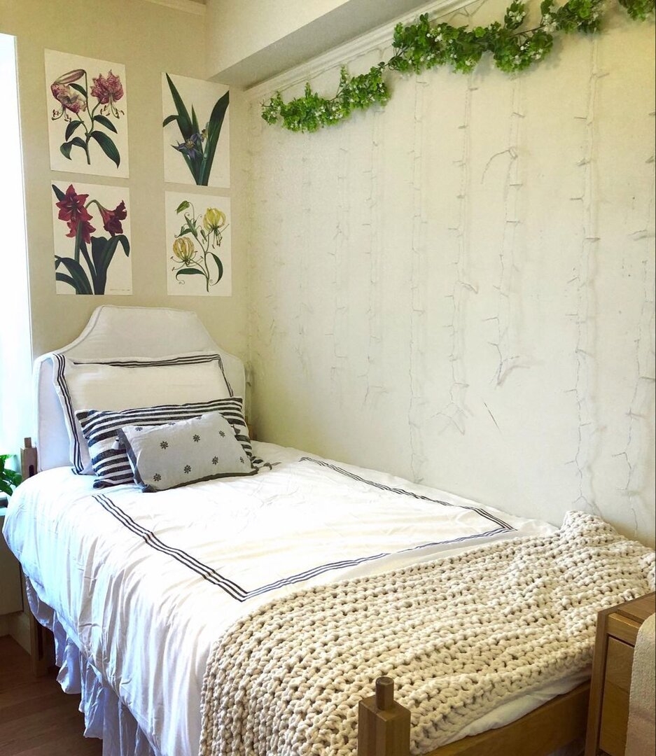 Fall 2020 Dorm room chic design.jpeg