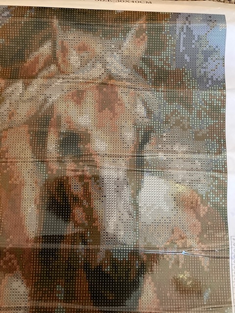 FD2258DF-C2F6-47FE-A35F-AE430840E52A.jpeg