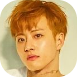 feeldog kps 1.png